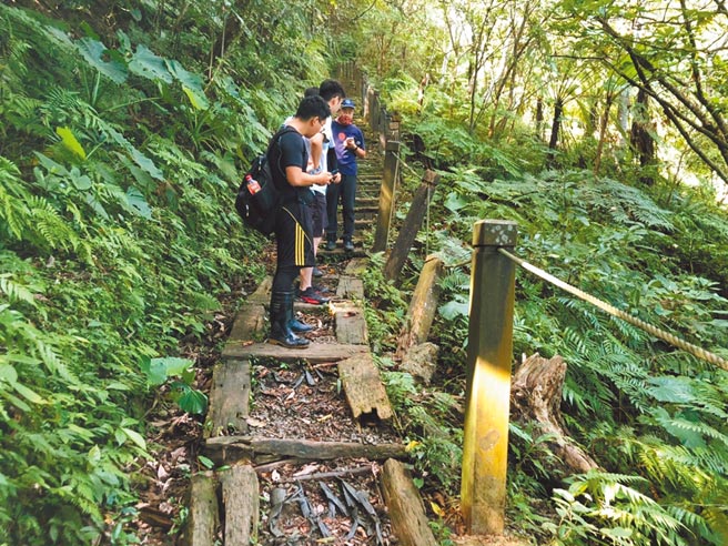 新北市紫微環山保甲路步道部分路段木棧道、扶手年久失修。（三峽區公所提供／蔡雯如新北傳真）