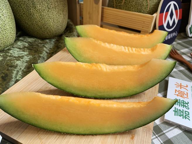 秋作极光哈密瓜进入盛产季，今嘉义县政府举办上市行销记者会。（吕妍庭摄）