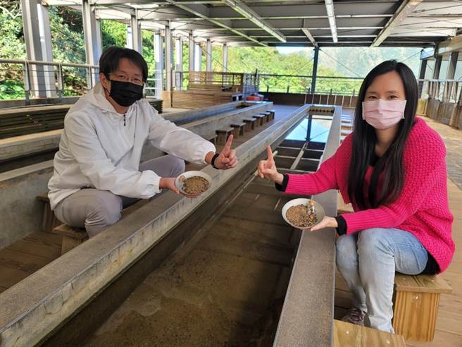 新北市黄金博物馆推优惠活动，只要11日来黄金博物馆参观，2人同行，淘金体验第2人即享免费优惠，馆内金采卖店也于11日起推出2组特价限定福袋。（黄金博物馆提供）