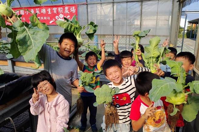 嘉义县朴子市竹村国小温室鱼菜砾共生实验农场在扶轮社协助升级下，正式朝向科技化管理，成为智慧农业一环，创新农法也让师生相当期待。 （竹村国小提供／吕妍庭嘉义传真）