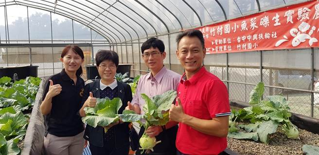嘉义县朴子市竹村国小温室鱼菜砾共生实验农场在扶轮社协助升级下，正式朝向科技化管理，成为智慧农业一环，创新农法也让师生相当期待。 （竹村国小提供／吕妍庭嘉义传真）