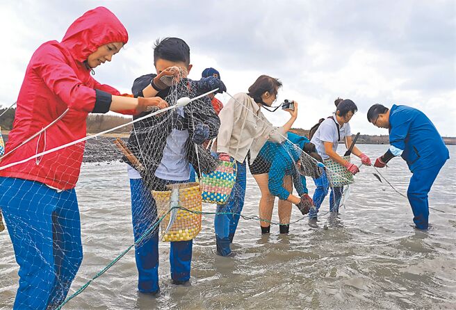 「澎湖秋疯季」登场，传统古渔法牵罟、栅网带游客体验捕鱼乐。（陈可文摄）
