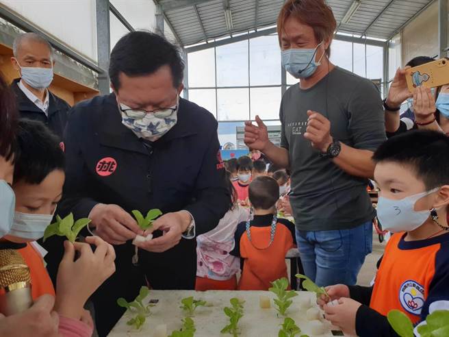 市长郑文灿12日到芦竹区大古山休閒农业区「双源鱼菜蚯共生农场」，与幼儿园学童体验水耕莴苣种植及採摘。（桃园市教育局提供／陈梦茹桃园传真）