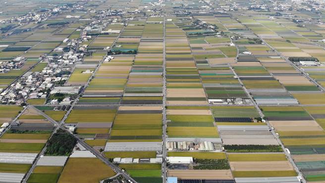 内政部营建署及云林县政府共同补助莿桐乡3800万元，将打造蔬菜大道及花海区孩沙里周边的道路改善，预计明年1月完工。（云林县政府提供）