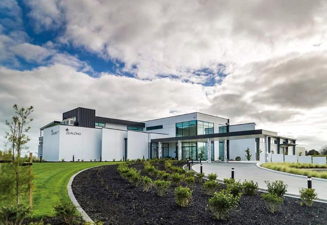 台湾囝仔在纽西兰的奇蹟茶园，ZEALONG TEA玺龙茶园是将台湾乌龙茶树成功移植南半球纽西兰的世界创举，在一片纯净、无污染的沃土上生产国际一级认证的有机顶级茶品。图／业者提供