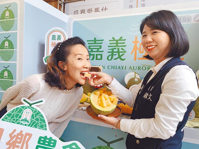 秋作极光哈密瓜进入盛产季，嘉义县政府11日举办上市行销记者会，嘉义县议员刘雅文（右）、溪口乡农会总干事刘纯婷（左）联手行销极光哈密瓜。（吕妍庭摄）