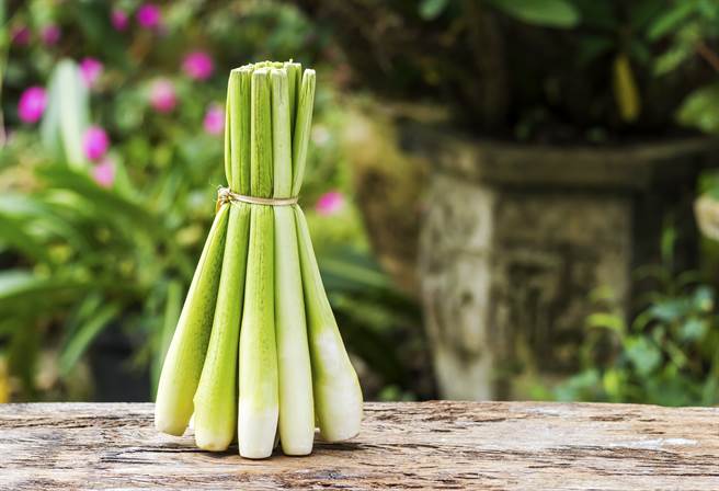 有「美人腿」称号的筊白笋，含有丰富维生素与高纤维，有助清血管和肠道。(示意图/Shutterstock)