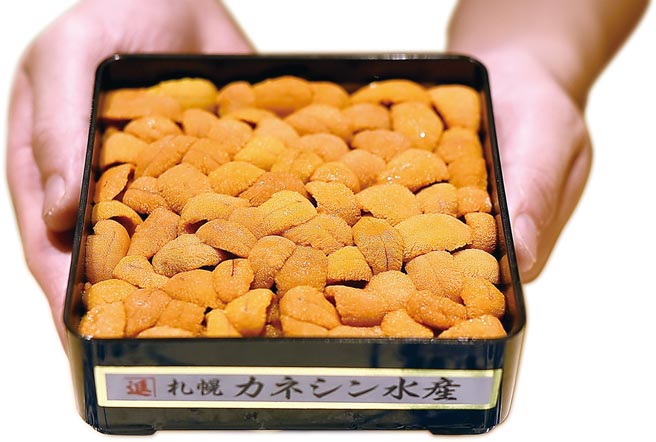 食材95％是日本進口，圖為北海道馬糞海膽。圖／姚舜