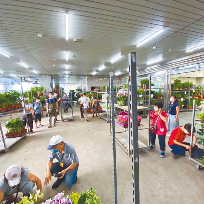 台北市市场处委托同一业者经营台北市花木批发市场18年，议员质疑无淘汰机制让市有财产变成像废墟。（摘自台北花木批发市场脸书）