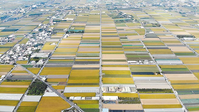 内政部营建署及云林县政府共同补助莿桐乡3800万元，将打造蔬菜大道及花海区孩沙里周边的道路改善，预计明年1月完工。（云林县政府提供／周丽兰云林传真）