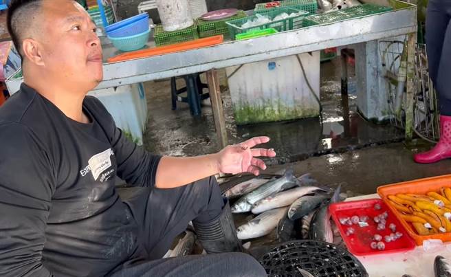 渔民李文龙分享怎么挑最新鲜乌鱼。（赖清美提供／吴敏菁彰化传真）