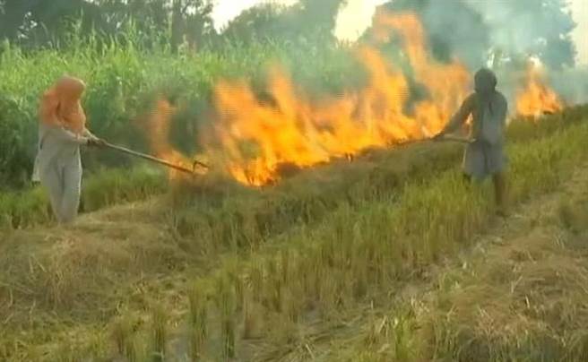 德里空污严重与农业焚烧很有关系，政府有禁令，但执行成效不佳。(图/NDTV)
