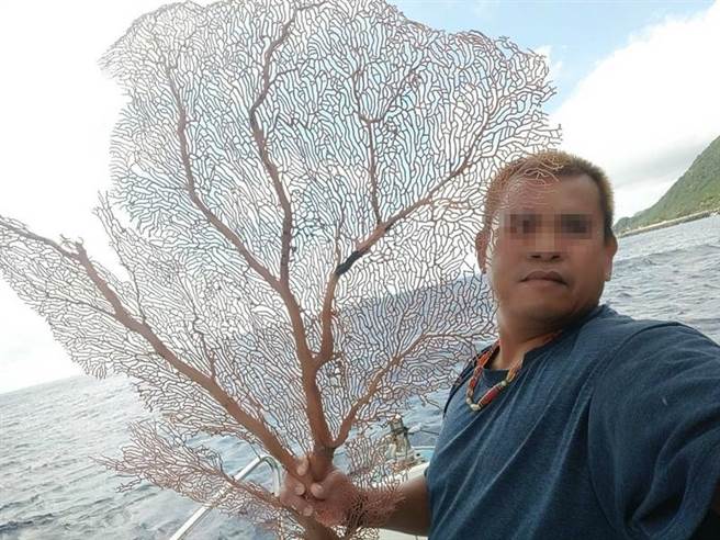 謝明輝將紅珊瑚放回海裡，表示寧可回家吃泡麵，也不願意賺不義之財。（圖／翻攝畫面）