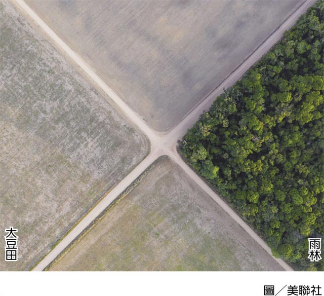 南美乾旱衝击民生图╱美联社