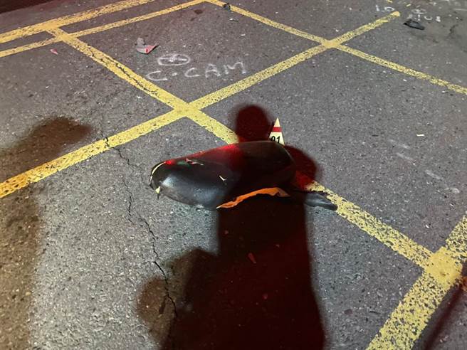 台铁昨晚发生一起死亡事故，车次2994从嘉义开往彰化的区间车，14日晚间11点左右行经田中与二水间的平交道时，撞上一名卧倒在平交道的80多岁徐姓老翁，老翁当场死亡。（民眾提供／吴建辉彰化传真）