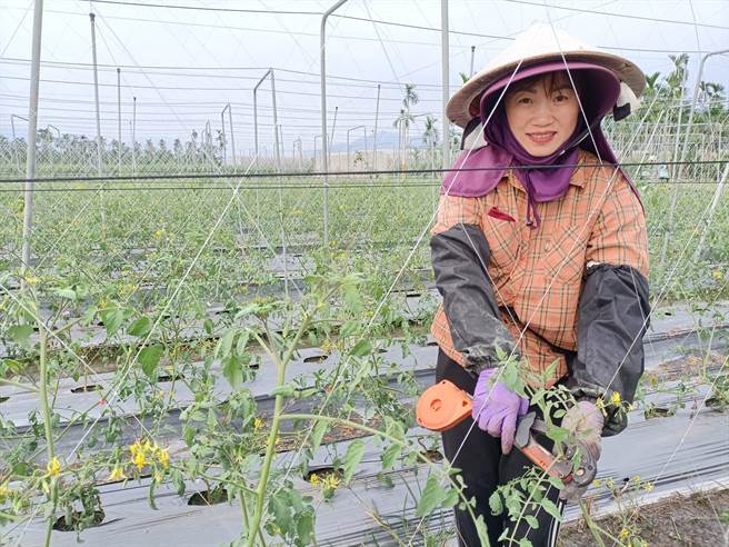 黎美娟从事农杂工的身影。(北高雄家扶中心提供／林雅惠传真)