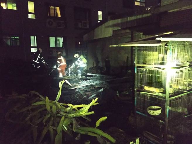 鸽笼都已烧塌、焦黑一片，目视也有近20只鸽子葬生火窟。(翻摄照片／蔡依珍桃园传真)