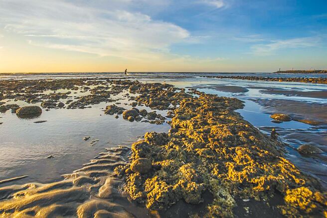 （本报系资料照片）