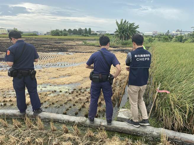 二期稻作收割期，彰化县稽查露天烧稻草，10月已经开立82张罚单。（彰化县环保局提供／吴敏菁彰化传真）