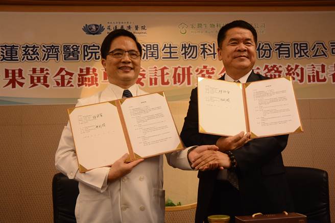 慈济医院长林欣荣（左）与宏润生技公司董事长陈衫润签署合作，将把以银杏果培养出的蛹虫草、黄金虫草萃取液，进行抗糖尿、抗癌之用。（王志伟摄）