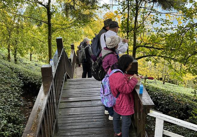 大崙山步道旁，常常可以发现游客就地吃便当。（鹿谷乡小半天休閒农业区发展协会提供／黄国峰南投传真）