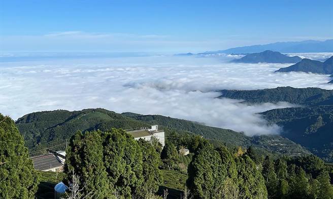 大崙山以云海闻名，但也受游客乱丢垃圾所苦。（鹿谷乡小半天休閒农业区发展协会提供／黄国峰南投传真）
