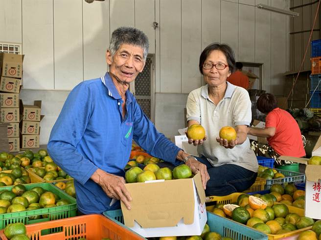 台南市椪柑農民伍國賢（左）5年累計慨捐2.5萬顆椪柑給北台南家扶中心義賣。（北台南家扶中心提供／張毓翎台南傳真）