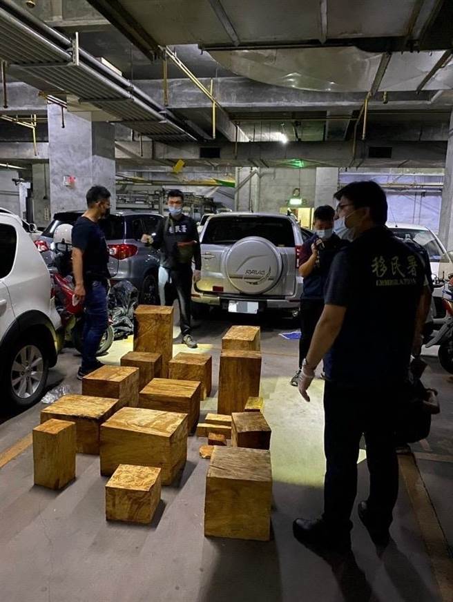 移民署起獲市價500多萬的珍貴扁柏。（移民署提供）