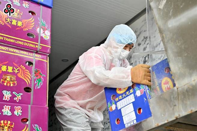 广西男隐瞒病情入境致488人隔离，判刑2年罚金86万元。图为中越边境最大口岸城市广西凭祥市江楠农产品智慧交易中心货物消毒区，今年8月5日搬运工转运越南进口火龙果。（中新社）