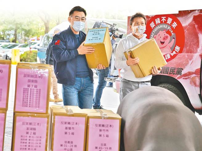 国民党发起「反莱猪公投」、「公投绑大选」两公投案。（杜宜谙摄）