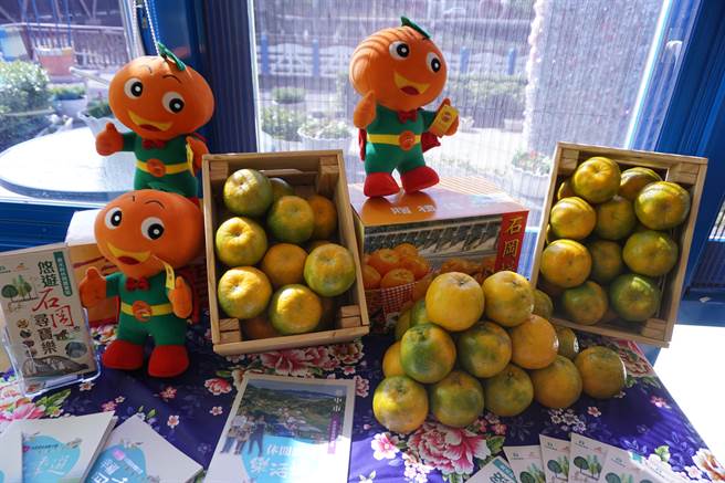 初冬時節，台中山城進入柑橘產季，首批登場的是椪柑。（王文吉攝）
