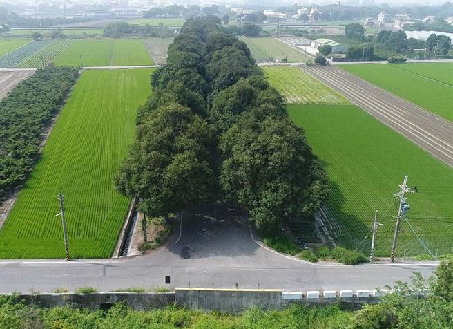 虎尾眷村附近的芒果道空拍美景。（云林县政府提供）