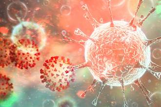 人體清除新冠病毒快慢  中研院發現與NK細胞有關