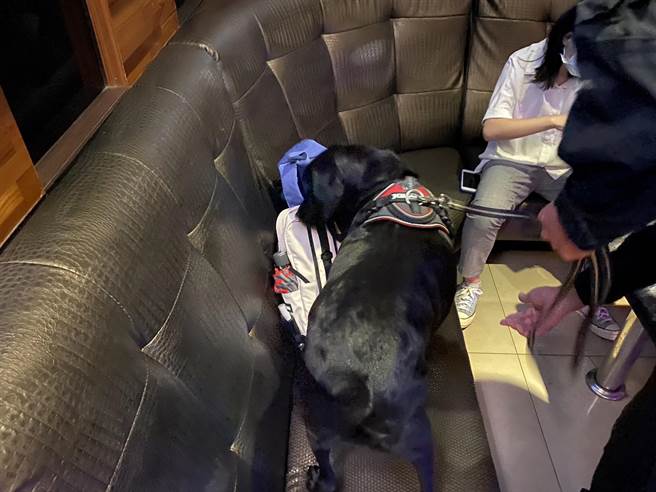 台中市警察局第四分局执行扫荡行动，清查工作人员及消费者身分，出动缉毒犬，机动查缉毒品、违禁物。（民眾提供／卢金足台中传真）