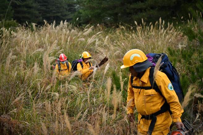 演訓學員穿梭在草比人高的草叢中。（東勢林管處提供／王文吉台中傳真）