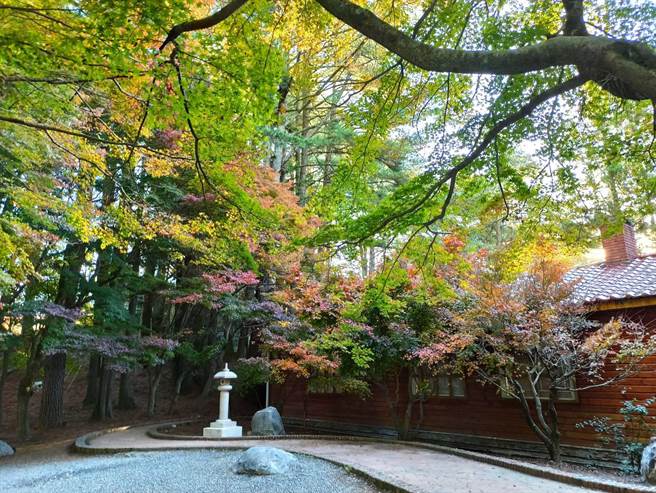 松庐掌叶枫林黄绿红交织缤纷，搭配古朴的木造建筑，秋意醉人。（福寿山农场提供／王文吉台中传真）