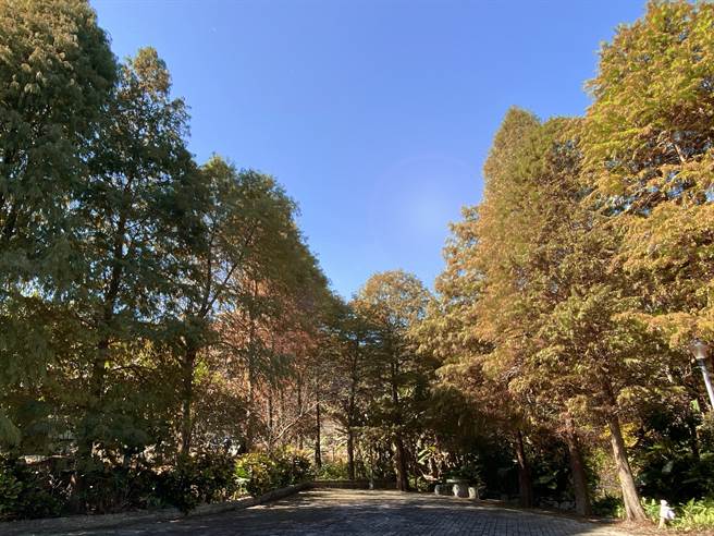 四分溪的双心造型跳石及溪畔步道环境清幽。（北市大地处提供／杨亚璇台北传真）