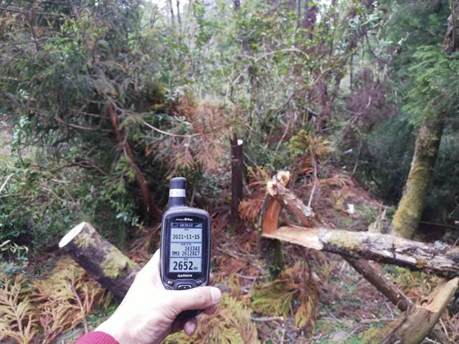 郡大山发生盗木升火事件，南投林管处人员到现场搜证。（南投林管处提供／廖志晃南投传真）