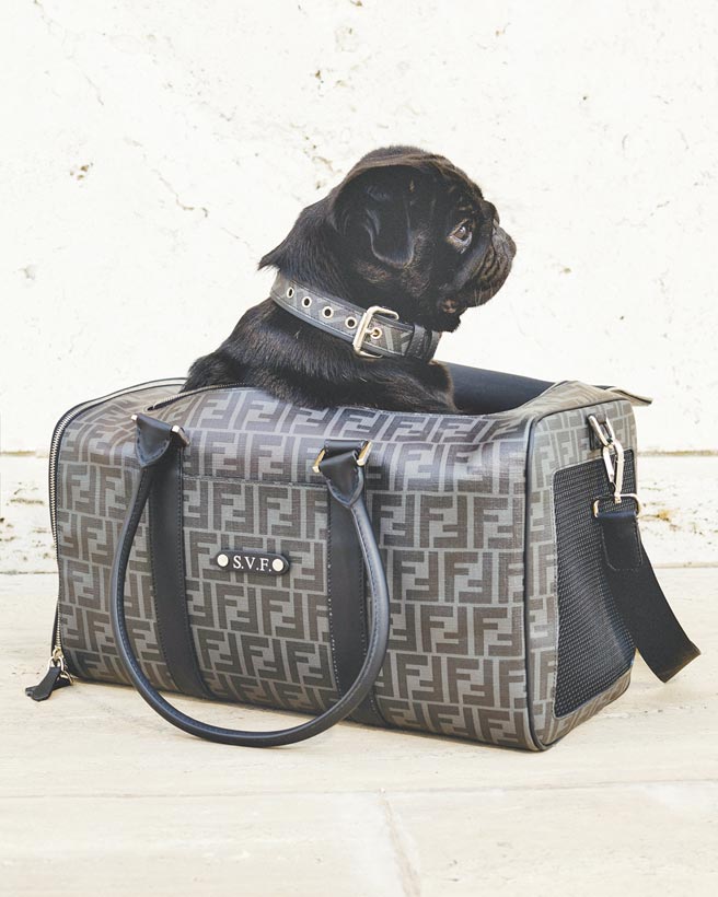 FENDI宠物旅行袋，不但可以装毛小孩，还能装可爱，售价8万1000元。（FENDI提供）