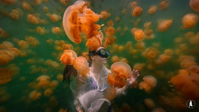 帛琉知名景點水母湖。（KKday提供／陳祐誠傳真）