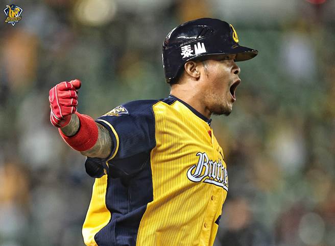 中信兄弟林智勝。（中信兄弟提供）