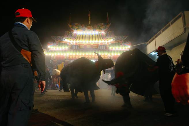 「迎王平安祭典」，大埔金牛阵是祭典中的一大特色。（邓博仁摄）
