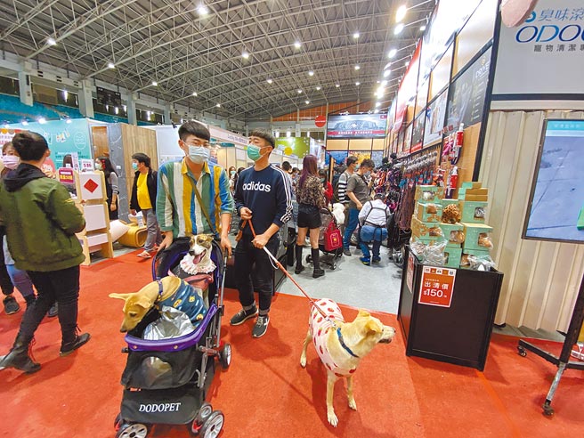 养毛小孩的人愈来愈多，台南市目前宠物登记达10万9000只，台南市政府着手规画建置宠物殡葬专区。（本报资料照片）