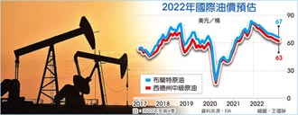 EIA：明年庫存攀高 油價走頹