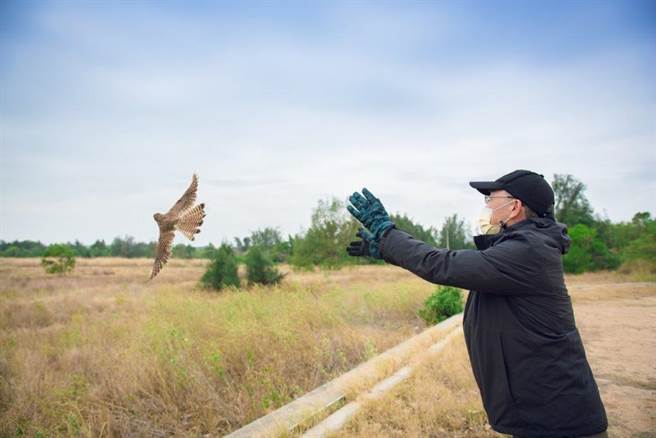 金门国家公园管理处郑瑞昌处长亲自野放，顺利重返大自然。（金管处提供）