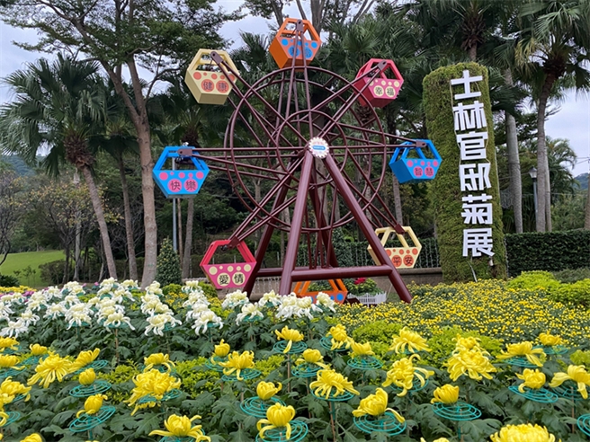 2021士林官邸菊展即将登场，今年主题「菊来运转」，展区以疗癒风格打造。（北市公园处提供／杨亚璇台北传真）