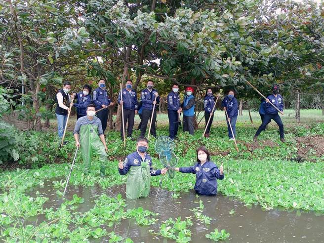 竹市水資源公園蔓生水芙蓉議員志工齊清除 寶島 中時