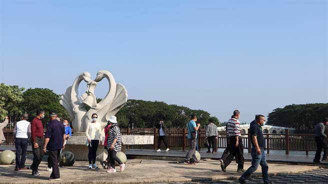 謂為 天鵝湖公園 卻沒半隻 黑天鵝 遊客失落 寶島 中時