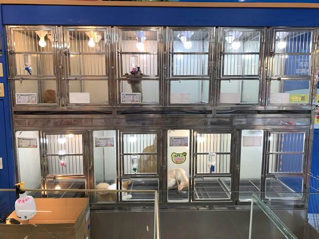 认明合法宠物店，杜绝黑心动物制造所，笼外要明确标示。(高雄市动保处提供／林雅惠传真)