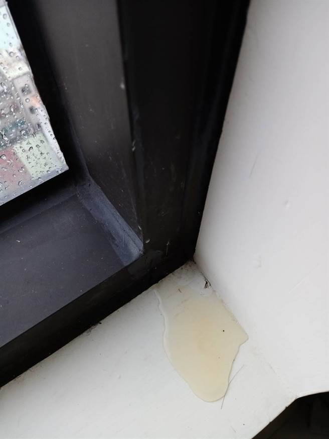 北市大龙新城漏水修7次没好。（陈怡君提供／杨亚璇台北传真）